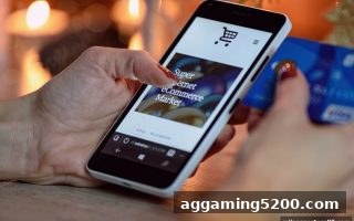 米兰体育指南：PC客户端TRC20提现状态查询全攻略