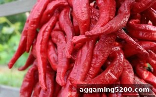米兰体育深度解析：电子游艺返还率的关键影响因素与合规推广策略
