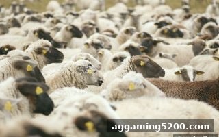 米兰体育深度解析：LOL赛事比分实时更新的重要性与获取全攻略